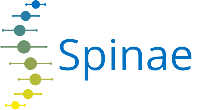 Spinae